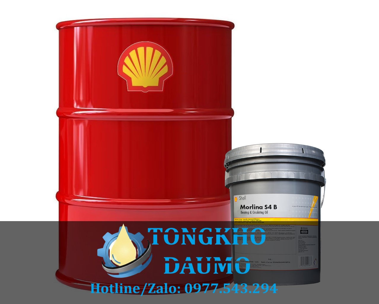 shell morlina s4 b 100 chính hãng giá tốt